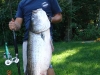 fish-09-029